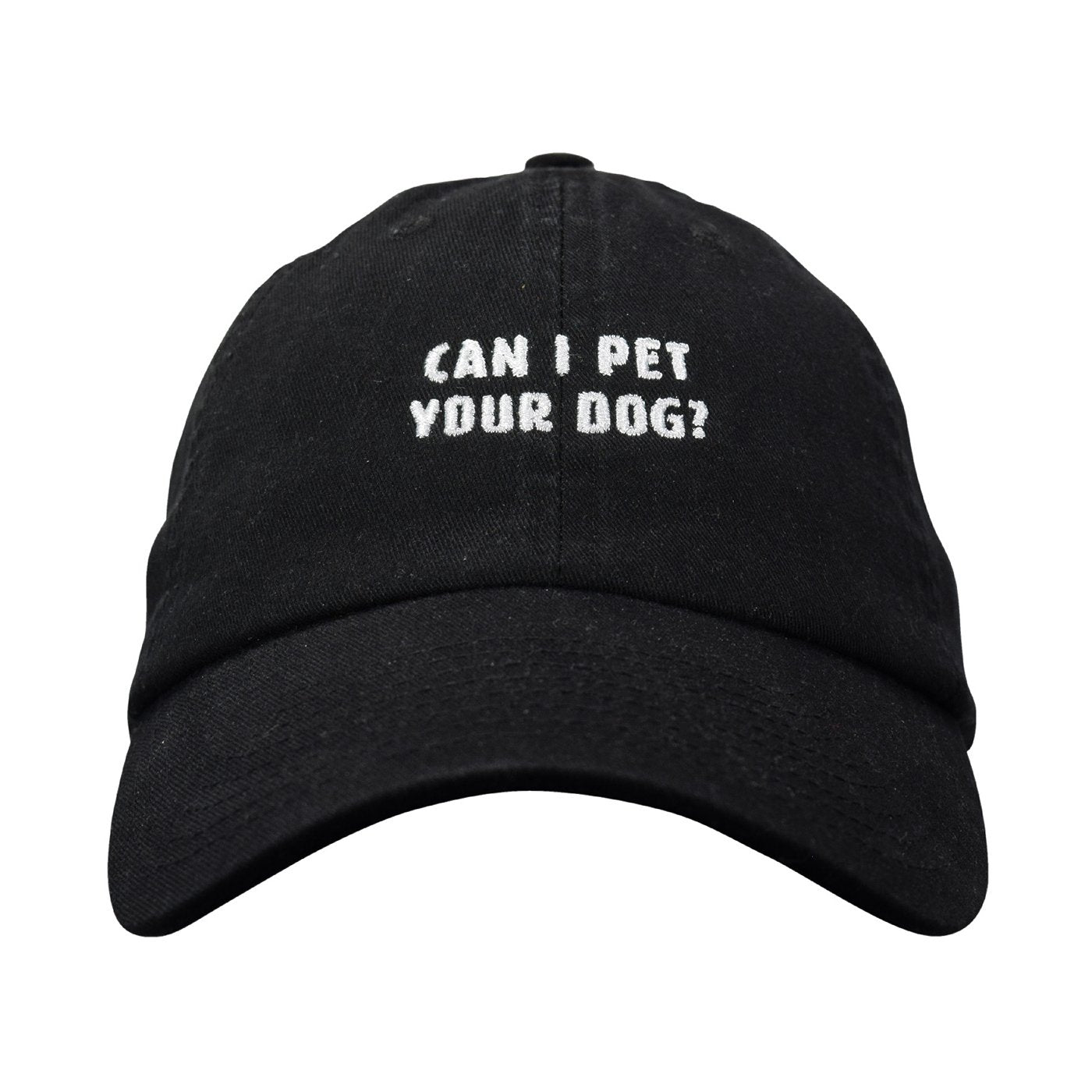 Can I Pet Your Dog? Dad hat